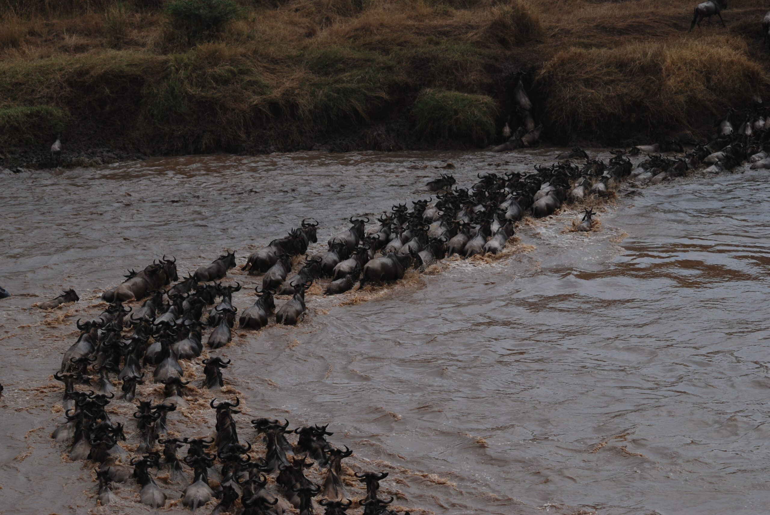 Serengeti National Park