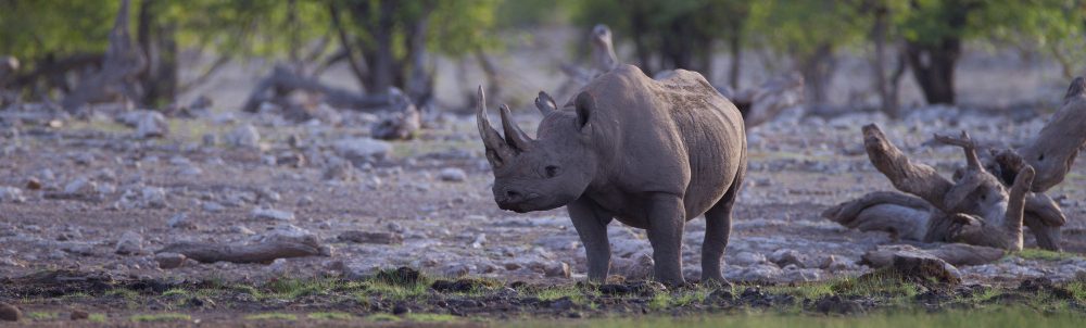 Ngorongoro Conservation Area