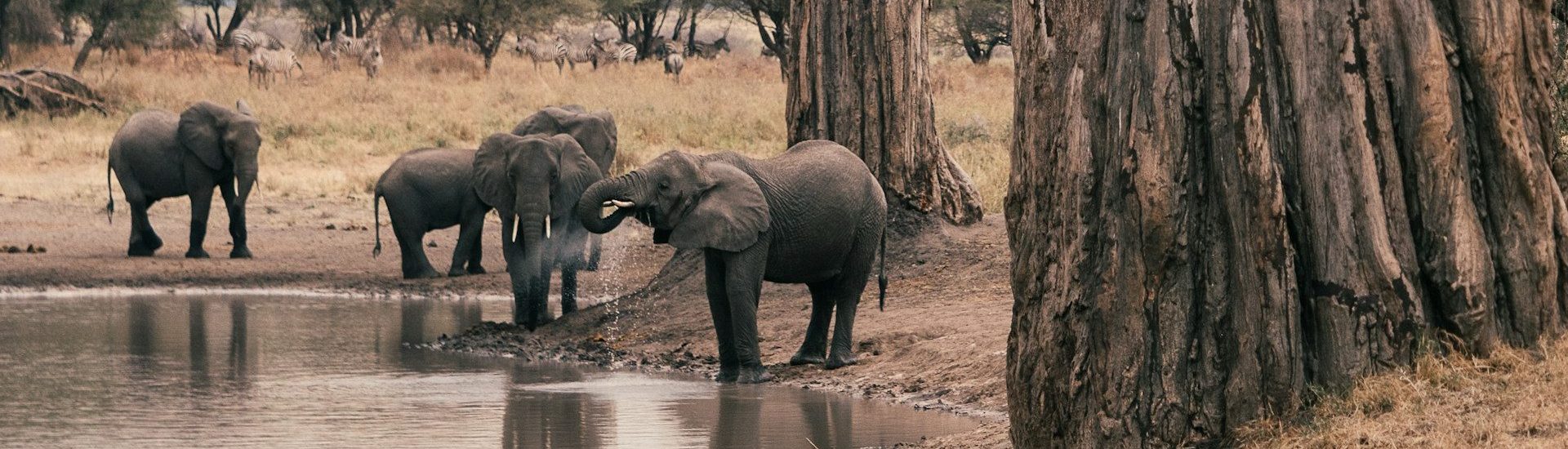 Tarangire National Park