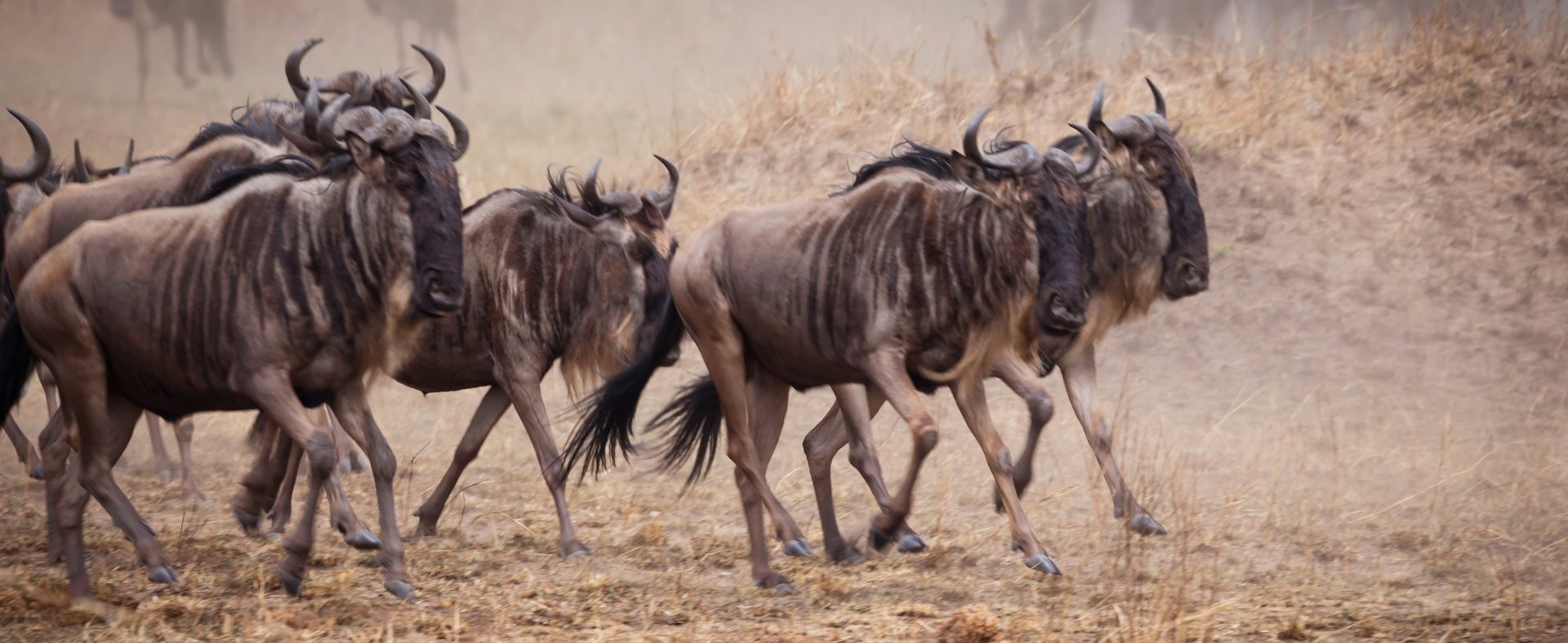 Serengeti National Park